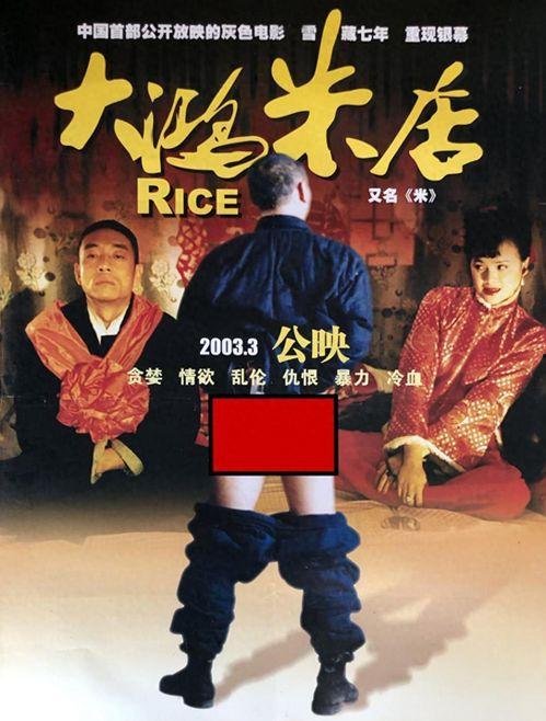 国产19禁,揭秘禁忌之下的激情与挑战  第2张