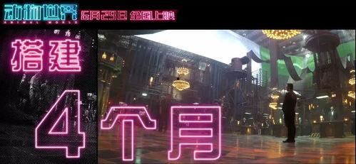 福利视频国产,福利视频展现国产魅力  第3张