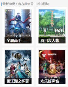 青春草视频国产,国产生态下的创新与活力  第2张