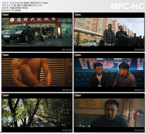 国产字幕,跨越语言障碍，传递文化魅力  第2张