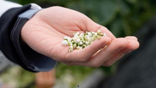 亚洲 国产 熟,国产熟品鉴之旅  第1张