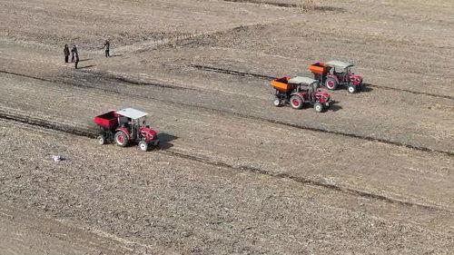 亚洲 国产 熟,国产熟品鉴之旅  第2张