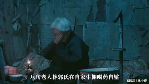 国产家庭伦理电影,国产家庭伦理电影的温馨篇章  第3张